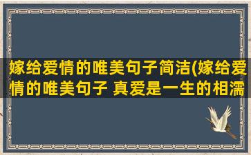 嫁给爱情的唯美句子简洁(嫁给爱情的唯美句子 真爱是一生的相濡以沫)